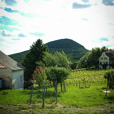 Hill & Chill בית נופש