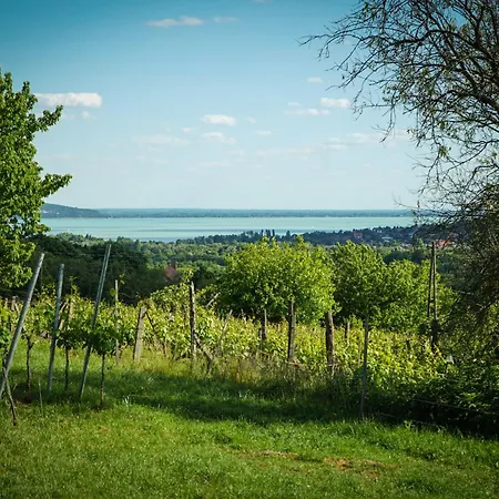 Hill & Chill Kaptalantoti